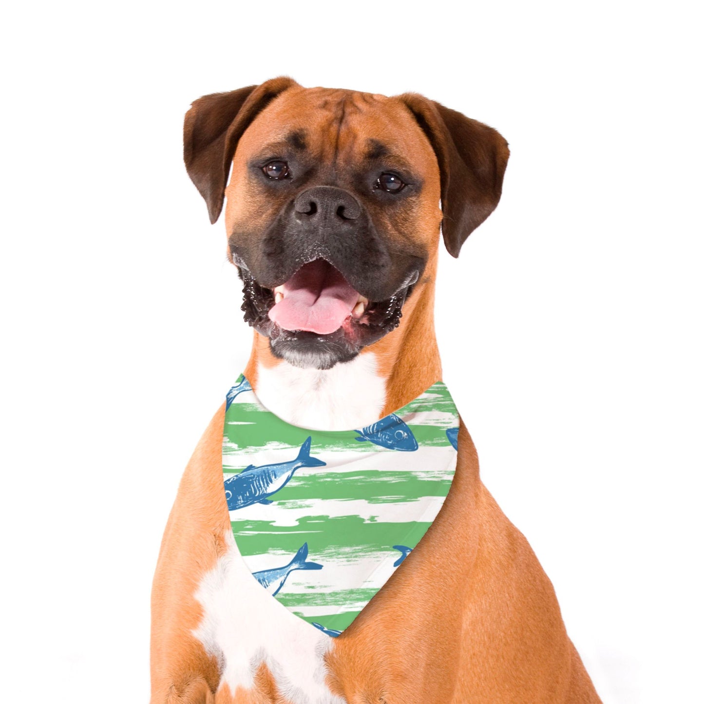Fish Stripes Pet Bandana