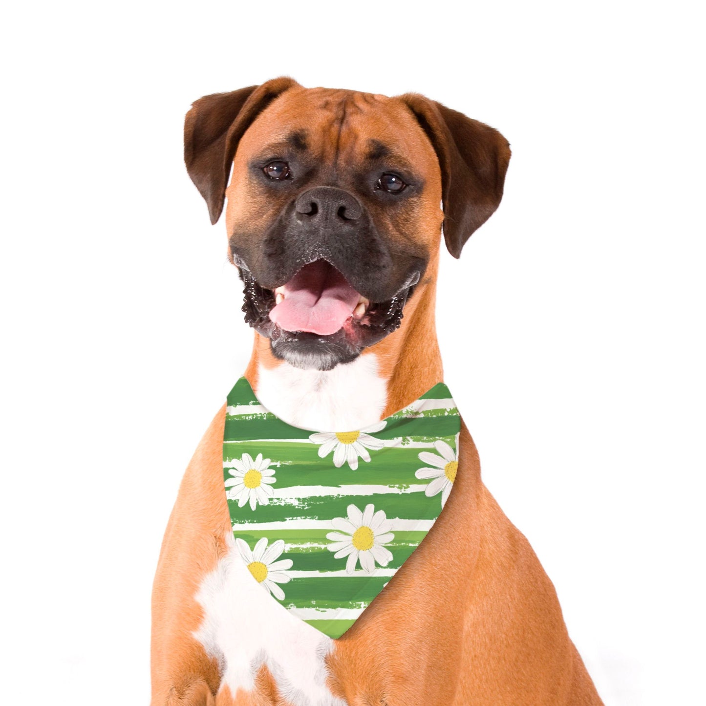 Daisy Pet Bandana Green