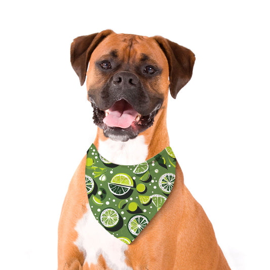 Limes Pet Bandana