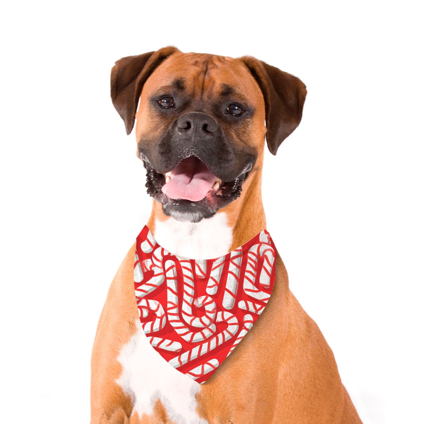 Candy Cane Pet Bandana