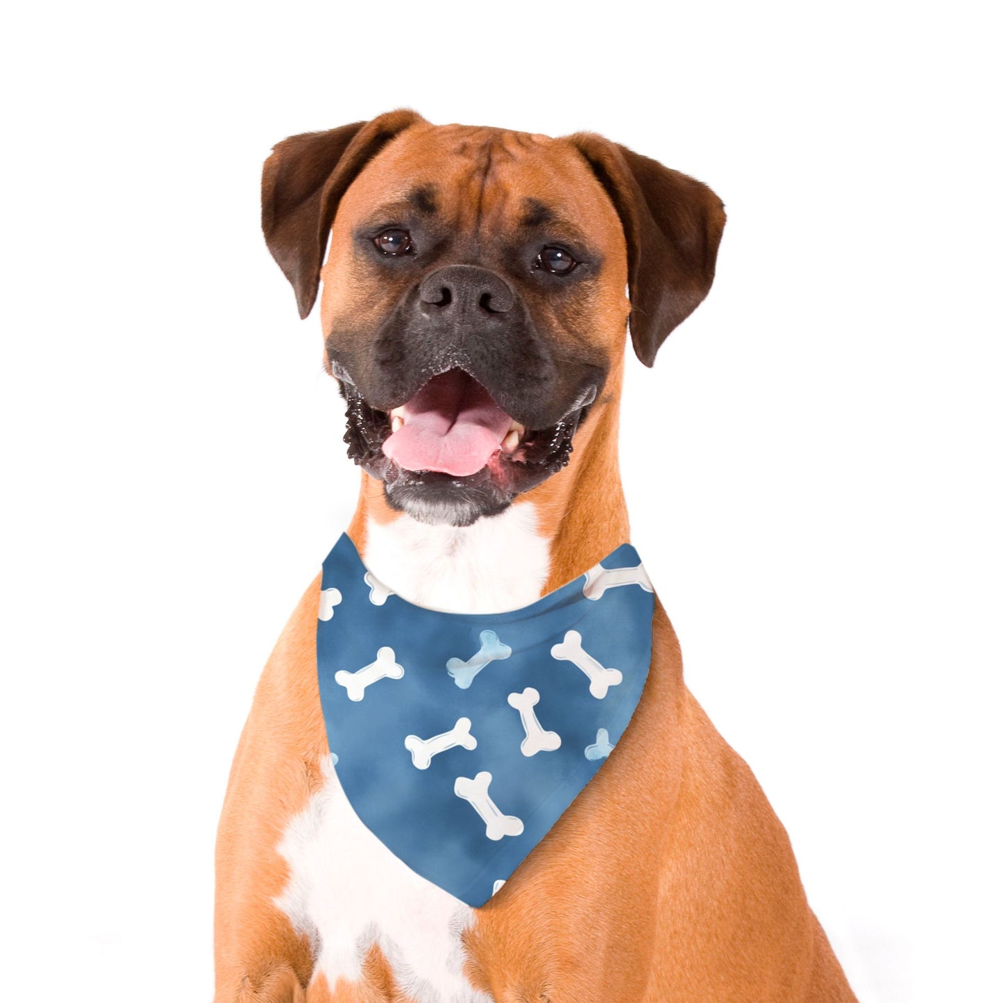 Bones Pet Bandana Blue/White