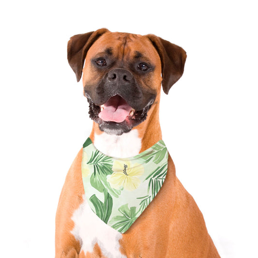 Tropical Pet Bandana Yellow