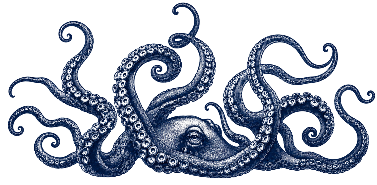 Octopus Mug