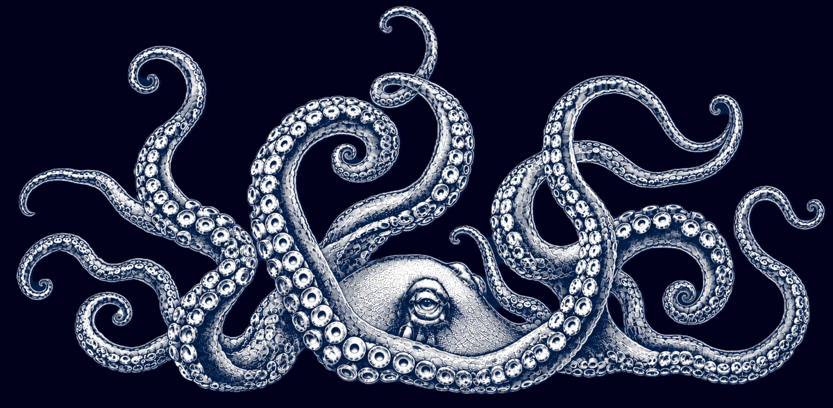 Octopus Stainless Steel Tumbler Navy